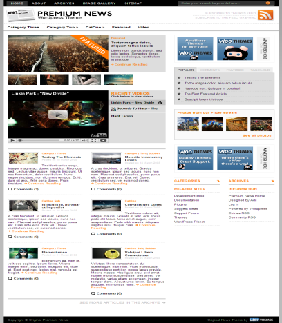 premium news wordpress theme