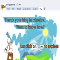 3 Free FBML Templates To Decorate Your Facebook Page