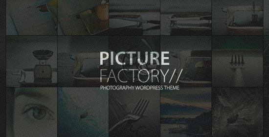 picture factory photography theme
