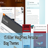 15 killer wordpress themes
