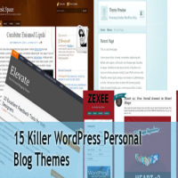 15 killer wordpress themes