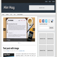 mint mag wordpress theme