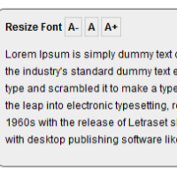 instant font resize