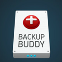 backupbuddy wordpress plugin