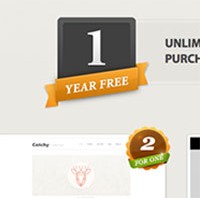 themepure wordpress themes