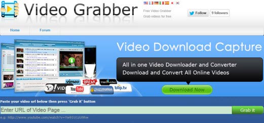 how to grab video from a website