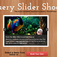 jQuery slider shock review