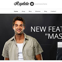 premium ecommerce WordPress themes 2013